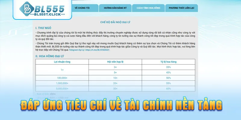 Đáp ứng các tiêu chí về tài chính nền tảng