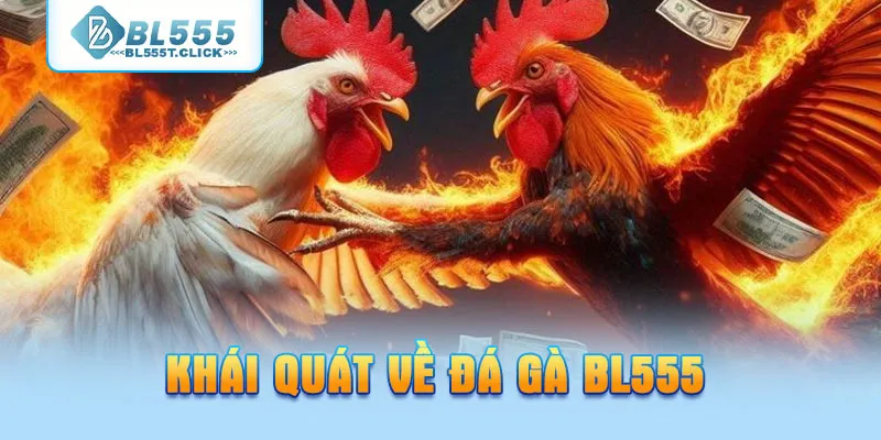Khái quát về đá gà BL555