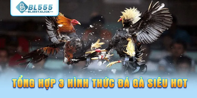 Tổng hợp 3 hình thức đá gà siêu hot